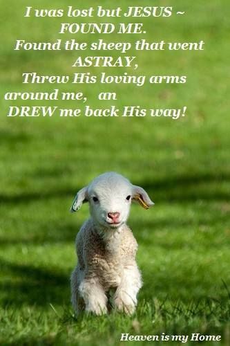 LUKE 15:3 - " Suppose one of you has a hundred sheep and loses one of them. Doesn't He leave the ninety- nine in the open country and go after the lost sheep until he finds it? And when He finds it, He joyfully puts it on his shoulders and goes home. Then He calls His friends and neighbors together and says, "Rejoice with me, I have found my lost sheep. I tell you that in the same way, there will be more rejoicing in heaven over one sinner who REPENTS than over any who don't need to repent." Regnul Animal, Nosara, Baby Sheep, Baby Lamb, Gods Word, A Sheep, Baby Goats, Angel Art, Cute Creatures