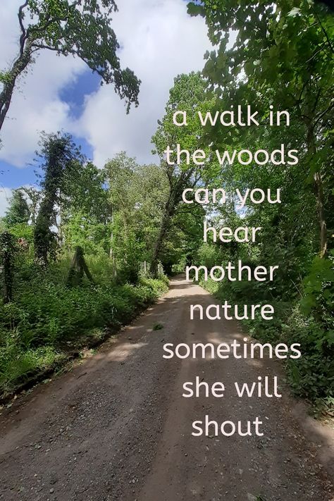 #naturepoem#haiku#poetry#nature Haiku Poem, Nature Poem, Haiku Poetry, Haiku Poems, About Nature, Words Of Comfort, Walk In The Woods, Book Art Drawings, Haikyu!!