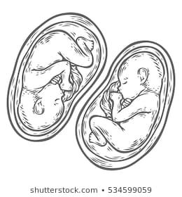 Twins Drawing Reference, Twins Drawing, Medicine Symbol, Sacred Feminine Art, Pregnant Belly Painting, Box Frame Art, Tattoo Posters, Baby Twins, Baby Doll Pattern