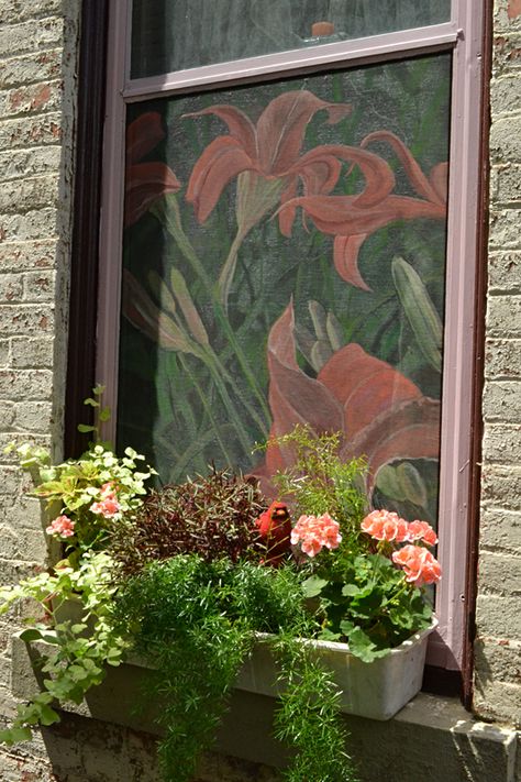 Window Screens Ideas, Painted Window Screens, Painted Screen Doors, Painted Screens, Painted Window Art, Painted Windows, Door Screen, Screen Painting, Window Screen