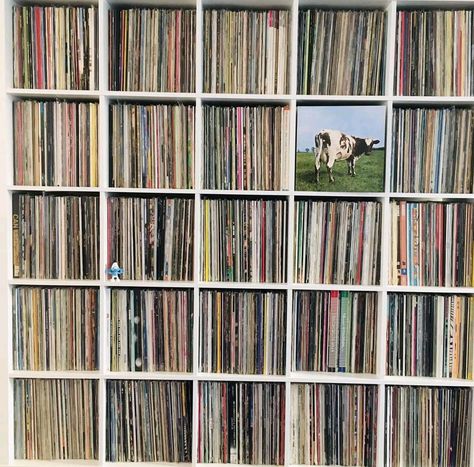 Vinyl Record Room, Ikea Kallax Shelf, Dj Room, Record Room, Vinyl Record Collection, Vinyl Collectors, Vinyl Record Storage, Kallax Ikea, Vinyl Storage