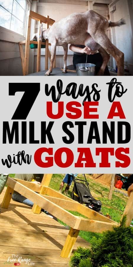 Goats For Milk, Goat Milking Stand, Diy Stand, Goat Health, Goat Milking, Raising Farm Animals, Goat Care, Raising Goats, Homesteading Skills