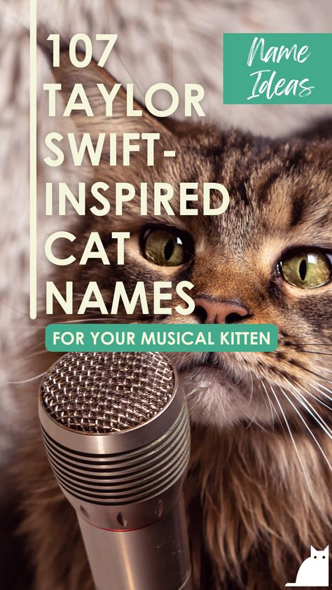 Taylor Swift Themed Cat Names, Swiftie Name Ideas, Taylor Swift Dog Names, Taylor Swift Inspired Cat Names, Taylor Swift Pet Names, Taylor Swift Names Ideas, Taylor Swift Inspired Names, Taylor Swift Names, List Of Cat Names