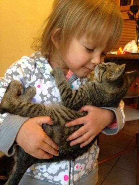 Eskimo Kiss… Cat Hug, Cat Kids, Cat Training, Cat People, Cute Kittens, Beautiful Cats, Animals Friends, Crazy Cats, Cat Pics