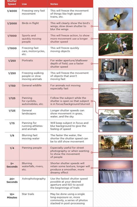 Shutter Speed Chart, Beginner Photography Camera, Shutter Speed Photography, Manual Photography, Digital Photography Lessons, Photography Lighting Setup, Dslr Photography Tips, Photography Settings, Dslr Photography