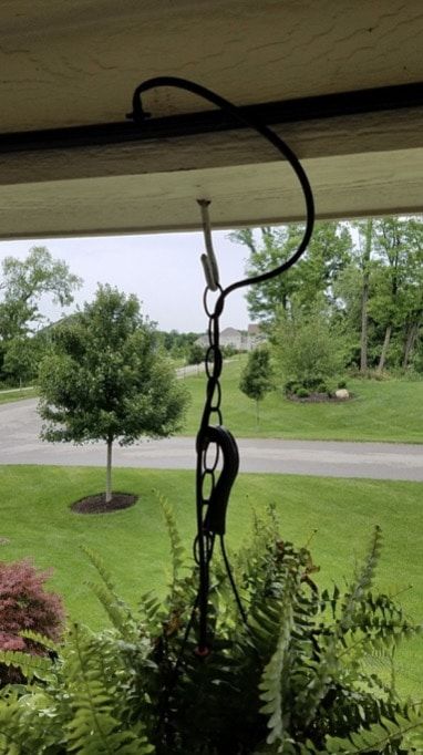 Drip Watering System, Garden Diy Decoration Ideas, Irrigation System Diy, Irrigation Diy, Water Ferns, Drip Irrigation Diy, Diy Decoration Ideas, Hanging Ferns, Plant Watering System