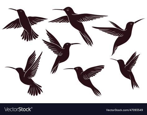 Hummingbird Vector, Bird Sketch, Hand Drawn Vector Illustrations, Hand Drawn Vector, Vector Hand, Animal Illustration, Transparent Png, Png Images, Line Art