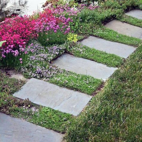 Stepping Stones In Grass Lawn, Garden Redesign, Stepping Stone Pathway, Stepping Stone Walkways, Garden Library, Stone Garden Paths, Stepping Stone Paths, Backyard Walkway, Walkway Design