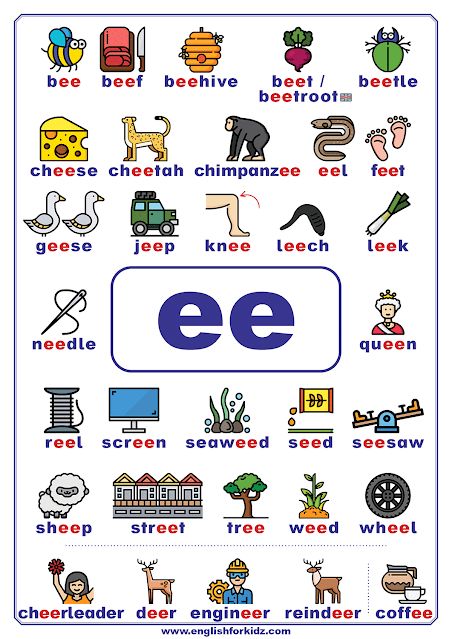 ee words - English phonics printable poster Ee Words Phonics, Vowel Diagraphs, Ee Phonics, Vowel Teams Poster, Phonics Sounds Chart, Ee Words, Phonics Chart, Phonics For Kids, Phonics Posters