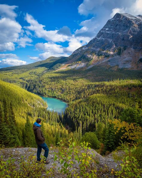 15 BEST Things to do in Kootenay National Park (2023) Hikes In Banff, Kootenay National Park, Marble Canyon, Sunshine Village, Banff National Park Canada, Johnston Canyon, Canada National Parks, Travel Credit Cards, Continental Divide