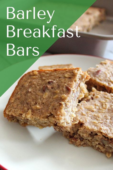 Baked breakfast bars made out of barley flour. Barley Dessert, Barley Recipe Healthy, Barley Breakfast, Barley Recipe, Barley Flour, Bar Recipe, Breakfast Bars, Cinnamon Banana, Fiber Foods