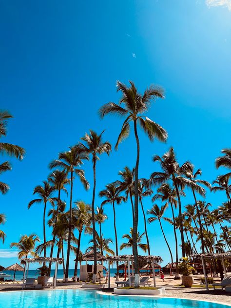 Andilana beach resort - Nosy Be Madagascar Island, Nosy Be Madagascar, Coconut Tree, Madagascar, Places To Travel, Fair Grounds, Coconut, Travel, Art