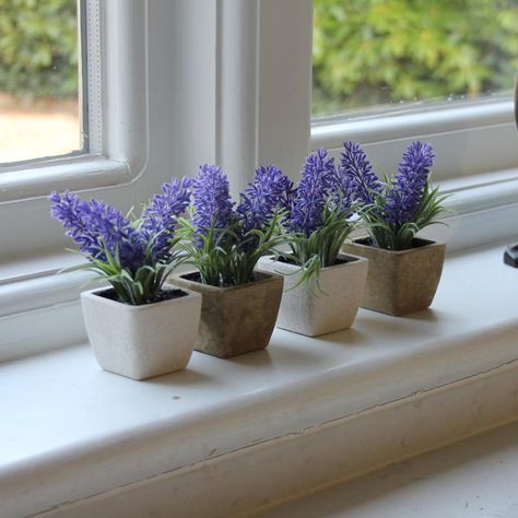 Lavender Pots, Growing Lavender Indoors, Lavender Pot, Lilin Aroma, Potted Lavender, Artificial Plant Arrangements, Growing Lavender, Artificial Plants Indoor, نباتات منزلية