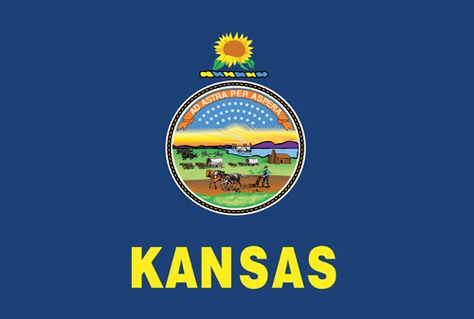 Kansas State Flag - 34th State to enter into the Union - Date of Statehood - January 29, 1861.  Capital - Topeka Kansas State Flower, Kansas Flag, Us States Flags, State Flowers, State Of Kansas, Flower Sunflower, Kansas State, Outdoor Flags, U.s. States