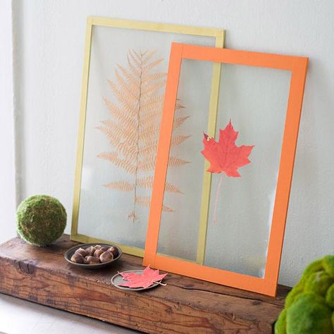 Pressed leaves in the season's prettiest colors. More inspiration: http://www.bhg.com/decorating/seasonal/fall/fall-decor-with-pressed-leaves/ Autumn Leaves Craft, Leaf Artwork, Folding Origami, Easy Fall Crafts, Fun Fall Activities, Pressed Leaves, Leaf Crafts, Fall Decor Diy, Fall Diy