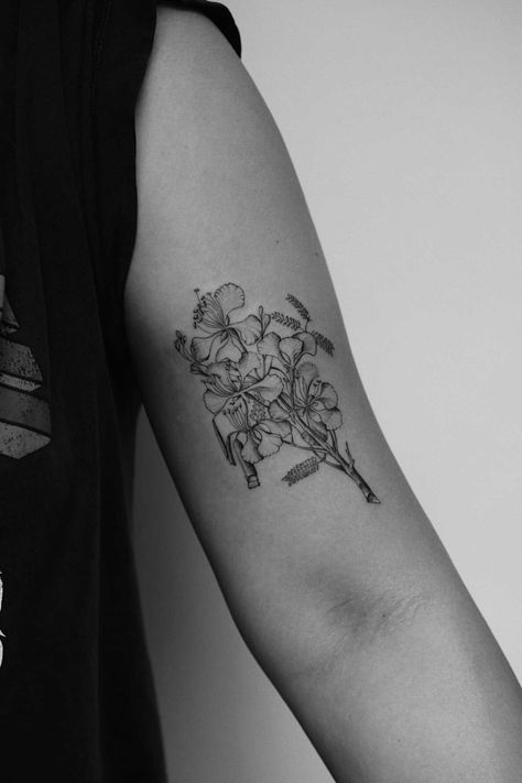 Izote Flower Tattoo, Royal Poinciana Tattoo, Flamboyant Flower Tattoo, Poinciana Tattoo, Flamboyan Tattoo, Angelica Flower, Delonix Regia, Flower Tat, Royal Poinciana