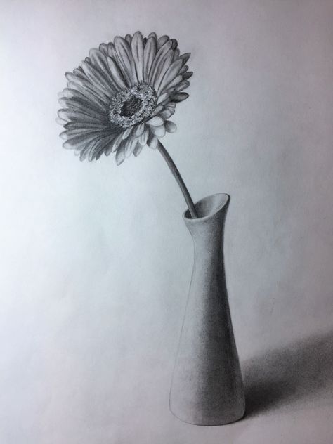 Gerbera in a vase. Graphite/pencil drawing by Elena Whitman Flower Sketch Pencil, Flower Vase Drawing, Vase Drawing, Still Life Sketch, Easy Pencil Drawings, Pencil Drawings Of Flowers, Life Sketch, Flower Drawings, Pencil Shading