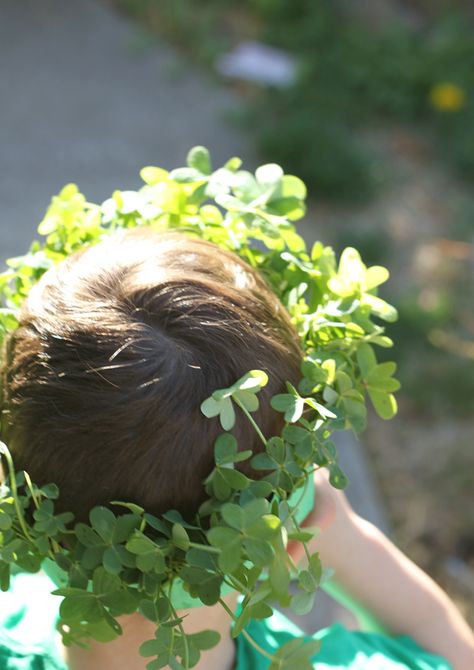 Lucky Clover Crown Clover Flower Crown, Clover Crown, Fall Flower Crown, Romantic Wedding Colors, Nature Hunt, Story Pictures, Irish Style, Green Construction, Leaf Crown