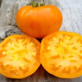 Tomato Disease, Amana Colonies, Tomato Seedlings, Orange Skin, Beefsteak Tomato, Rare Seeds, Organic Tomatoes, Red Tomato, Tomato Garden