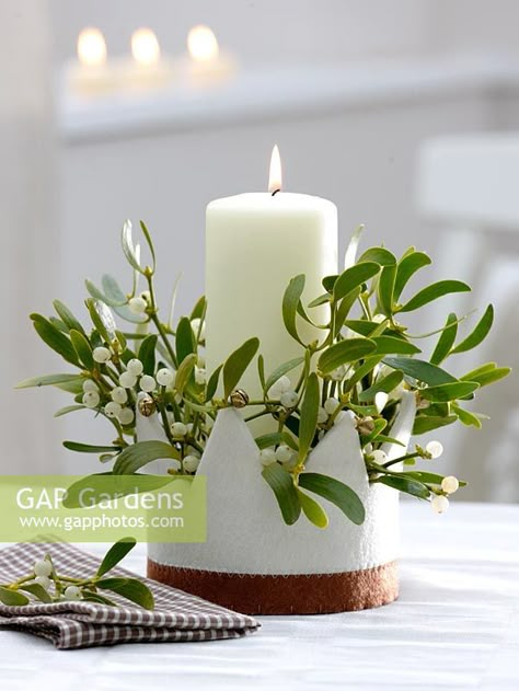 Christmas candle decoration with Viscum album - Mistletoe Mistletoe Decoration Ideas, Mistletoe Images, Christmas Advent Ideas, Mistletoe Plant, Candle Decoration, Christmas Candle Decorations, Plant Photography, Garden Features, Home Candles