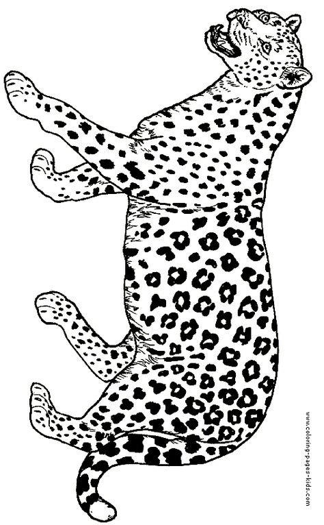 Jaguar color page Jaguar Coloring Pages, Draw Leopard, Abc Trace, Africa Party, Animal Bags, Leopard Drawing, Africa Tattoos, Pyrography Designs, Rainbow Canvas