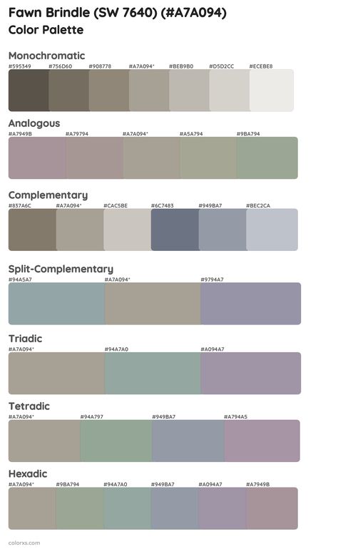 Sherwin Williams Fawn Brindle (SW 7640) Paint coordinating colors and palettes Fawn Brindle Sherwin Williams, Sherwin Williams Fawn Brindle, Sherwin Williams Dorian Gray, Gray Study, Fawn Brindle, Draw A Hexagon, Pantone Color Guide, Color Generator, Analogous Color Scheme