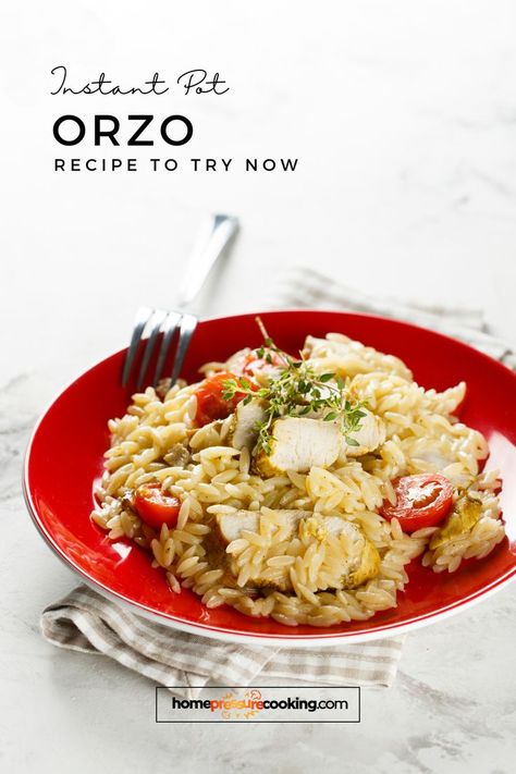 a plate with orzo and slices of chicken and cherry tomatoes Cooking Orzo, Easy Orzo Recipes, Instant Pot Orzo, Orzo Recipes Side, Easy Orzo, Recipes Side Dishes, Learn Cooking, Orzo Pasta Recipes, Orzo Recipe