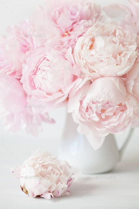 Peonies! Pink peonies means romance... Use our FREE Life.Cafe Wedding APP and action plan http://life.cafe Wedding Blush Pink, Hydrangea Bouquet Wedding, Wedding Blush, Peonies Garden, Peony Flowers, Blush Pink Weddings, Trendy Flowers, Rose Pastel, Photo Style