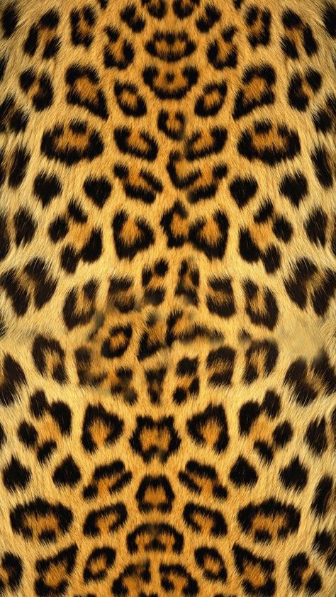 Gold Wallpaper 4k, Wallpaper Cheetah Print, Wallpaper Cheetah, Argo 2, Cheetah Print Background, Jaguar Wallpaper, Macan Tutul, Background Animal, Cheetah Print Wallpaper