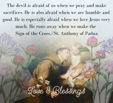 Sacred Heart Devotion, St Anthony Of Padua, Anthony Of Padua, Saint Anthony Of Padua, Sign Of The Cross, St Anthony, Saint Anthony, Cute Instagram Pictures, Instagram Logo