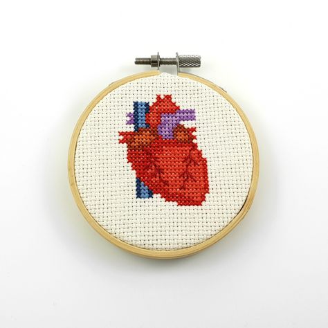 Anatomical heart cross stitch Anatomical Heart Cross Stitch, Science Cross Stitch, Heart Cross Stitch Pattern, Geeky Cross Stitch, Heart Cross Stitch, Cross Stitch Quotes, Small Cross Stitch, Cross Stitch Heart, Mini Cross Stitch