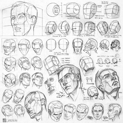 James Ng on Twitter: "I get asked sometimes about my #anatomy #sketches. Finally cleaned them up, download them from the link in high res, hope it's helpful to some! https://t.co/8baJg8WDCh… https://t.co/DwzhWHLNJY" 얼굴 드로잉, Drawing Tutorial Face, Drawing Heads, Human Anatomy Drawing, 얼굴 그리기, Human Figure Drawing, Human Anatomy Art, Anatomy Sketches, Drawing Studies