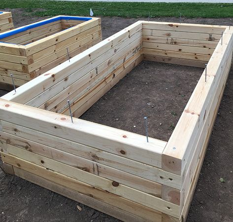 Built Up Garden Beds, 4x4 Garden Bed, 4x4 Raised Garden Bed, Raised Bed Construction, 4x4 Garden, Scott Shrader, Garden Raised Beds, Wood Garden Beds, Raised Bed Gardens