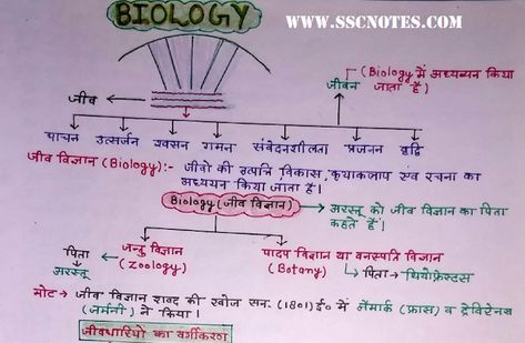 Biology Handwritten Notes in Hindi by Ankur Yadav PDF Download Hello Friends, Today we are sharing with you Biology Handwritten note... Biology Notes In Hindi, Polity Notes In Hindi, Chemistry Notes In Hindi, Cell Biology Notes, Ias Notes, Neet Notes, Economics Notes, Upsc Notes, Ias Study Material