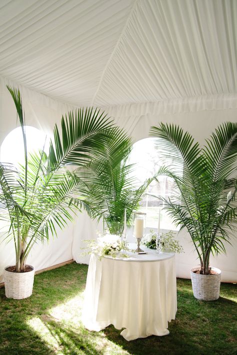 Large Fern Plants in White Pots | Photo: By Millie B Photography | Potted Palm Trees, White Wedding Ceremony, Tropical Wedding Theme, Wedding Ceremony Unity, Potted Palms, Palm Wedding, Wedding Plants, Fiesta Tropical, Havana Nights