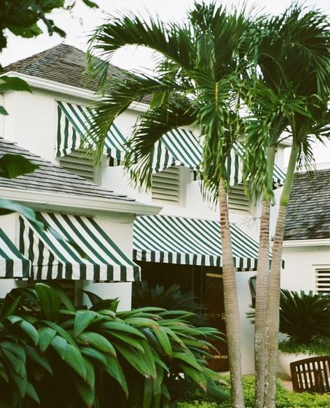 Round Hill Hotel and Villas on Instagram: "A true icon among Jamaica Montego Bay Bay hotels and resorts, Round Hill’s roots are rich with history. Originally, the 110-acre peninsula was part of Lord Monson's Round Hill Estate, which grew sugarcane, coconuts, and pimento.⁠ ⁠ Photo by @SeanGaleBurke⁠ ⁠ #RoundHillResort" Frankie Core, Round Hill Jamaica, Jamaica Montego Bay, Tropical British Colonial, Summer Planter, Caribbean Hotels, Creative Building, Poupette St Barth, Montego Bay Jamaica