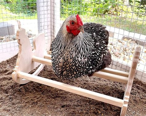 Chicken Coop Building Plans - Etsy Chicken Hacks, Modern Chicken Coop, Chicken Coop Building Plans, Chicken Perch, Coop Signs, Chicken Perches, Wooden Chicken, Pet Chicken, Chicken Coop Signs