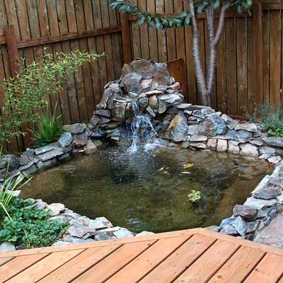 The home that Paul and Bellah Stephan purchased in Port Orford, Oregon, came with a backyard pond that was made of concrete, painted blue&#8212;and filled with garbage. They got rid of the garbage. Then, to make the pond look natural, they used an adhesive to cover the concrete with rocks and river sand, and built a shelf for water plants. Now the whole family can sit on the deck, look down at the koi and goldfish, and enjoy the sound of the waterfall. Corner Pond, Ponds Backyard Waterfall, Backyard Ducks, Building A Pond, Outdoor Ponds, Diy Pond, Fountains Backyard, Garden Waterfall, Pond Ideas