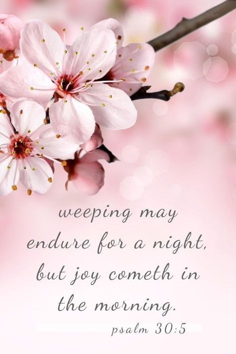 For his anger lasts only a moment, but his favor lasts a lifetime; weeping may stay for the night, but rejoicing comes in the morning. Psalm 16:11, Psalm 30, Monday Blessings, Frases Instagram, Joy Of The Lord, Favorite Bible Verses, Bible Inspiration, Bible Verses Quotes, Bible Journaling