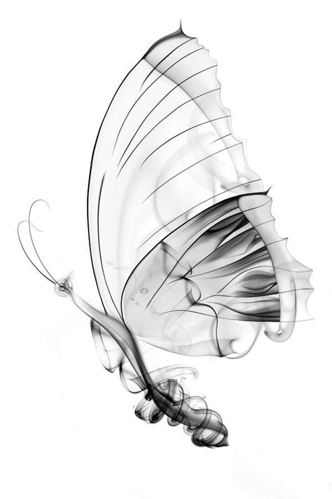 Xray Tattoo Ideas, Xray Tattoo, Tattoo Ideas Butterfly, Black And White Flower Tattoo, Abstract Tattoo Ideas, Ray Tattoo, Xray Art, Butterfly Sketch, Color Splash Photography