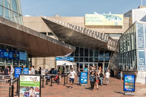 Boston Aquarium, What To Do In Boston, Boston Attractions, Revere Beach, Boston Vacation, New England Aquarium, Things To Do In Boston, To Do In Boston, Massachusetts Travel