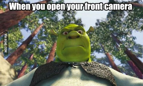 When you open your front camera... Shrek Character, Lord Farquaad, Social Media Humor, Fairytale Creatures, Masks Crafts, Cute Laptop Wallpaper, Dreamworks Animation, Tapeta Pro Iphone, Shrek