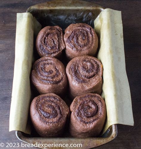 chocolate orange sweet rolls in pan Sourdough Chocolate Rolls, Chocolate Cinnamon Rolls, Orange Sweet Rolls, Cinnamon Roll Bread, Chocolate Roll, Sweet Rolls, Pastry Flour, Chocolate Cinnamon, Sweet Roll