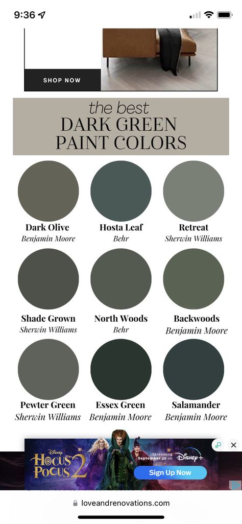 Northwoods Behr Paint, Dark Greenish Gray Paint Colors, Dark Green Media Room, Dark Grey Green Paint, Dark Green Office, Bar Lounge Room, Green Grey Paint, Cabin Vibes, Greenish Grey