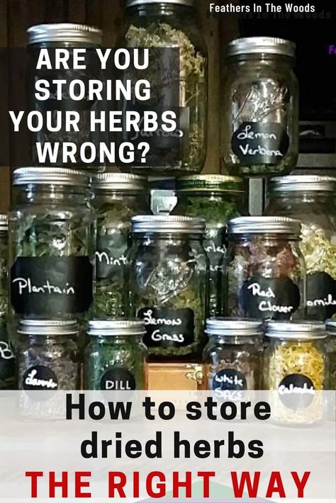 Herbs stored in glass jars, stacked and labeled Preserve Fresh Herbs, Drying Fresh Herbs, Herb Storage, Preserving Herbs, Dehydrated Vegetables, Medicinal Herbs Garden, Herb Jar, Kitchen Herbs, Herbal Apothecary