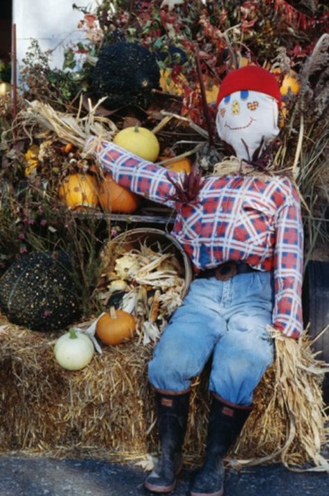 How to Make a Sitting Scarecrow | eHow Sitting Scarecrow, Scarecrow Decorations, Scarecrow Festival, Make A Scarecrow, Scarecrows For Garden, Diy Scarecrow, Scarecrow Face, Homemade Halloween Decorations, Fall Scarecrows