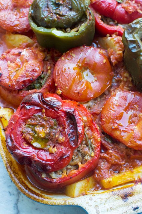 How do you cook gemista just like you've had in Greece (in even better)? Known as stuffed peppers and tomatoes, this is a Greek classic that's eternally popular for very good reason. It's healthy, tasty, filling... and makes great leftovers! #gemista #Greekfood #Greece #stuffedpeppers #tomatoes Gemista Recipe With Meat, Spanish Salads, Meat Stuffed Peppers, Gemista Recipe, Greek Stuffed Peppers, Spiced Lamb, Eggplant Dishes, Veg Dishes, Greek Cooking