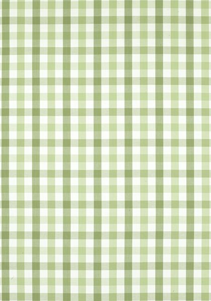 SAYBROOK CHECK, Green, AW15145, Collection Antilles from Anna French Anna French Antilles, Anna French, Green Collection, Matching Wallpaper, Upholstery, Apartment, Paint, Green, Fabric