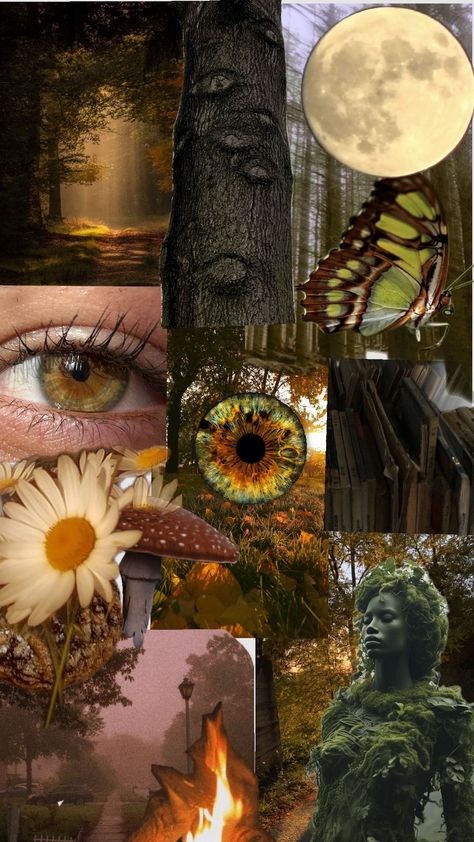 hazel iris aesthetic Annelise Aesthetic, Iris Core, Iris Aesthetic, Witch Hazel, Future Life, My Stuff, Witch, Quick Saves, Pins