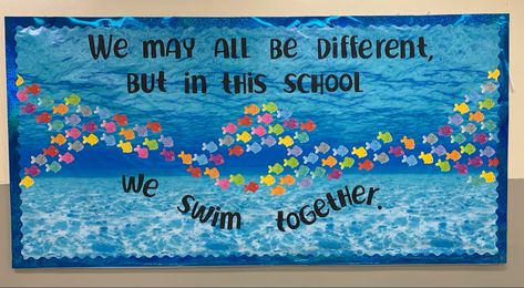 Swim Team Party, Team Party, Swim Team, Bulletin Boards, Bulletin Board, Party Ideas, Swimming